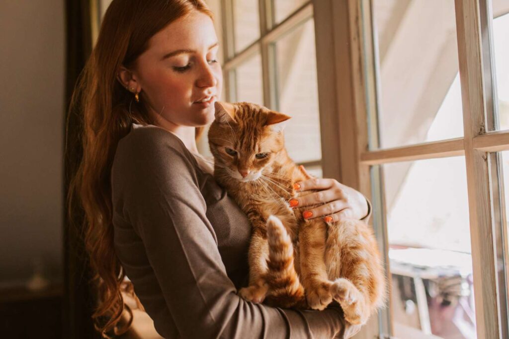 Jak rozpoznać, że kot jest chory