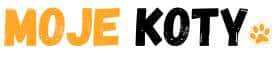 Wszystko co warto wiedzieć o kotach – MojeKoty.com