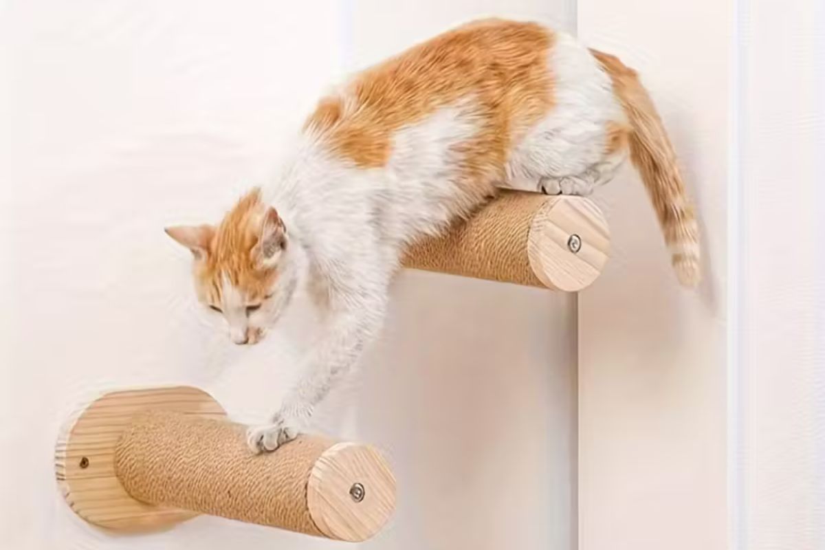 Koci kącik w mieszkaniu z hamakiem drzewkiem i półkami dla kota