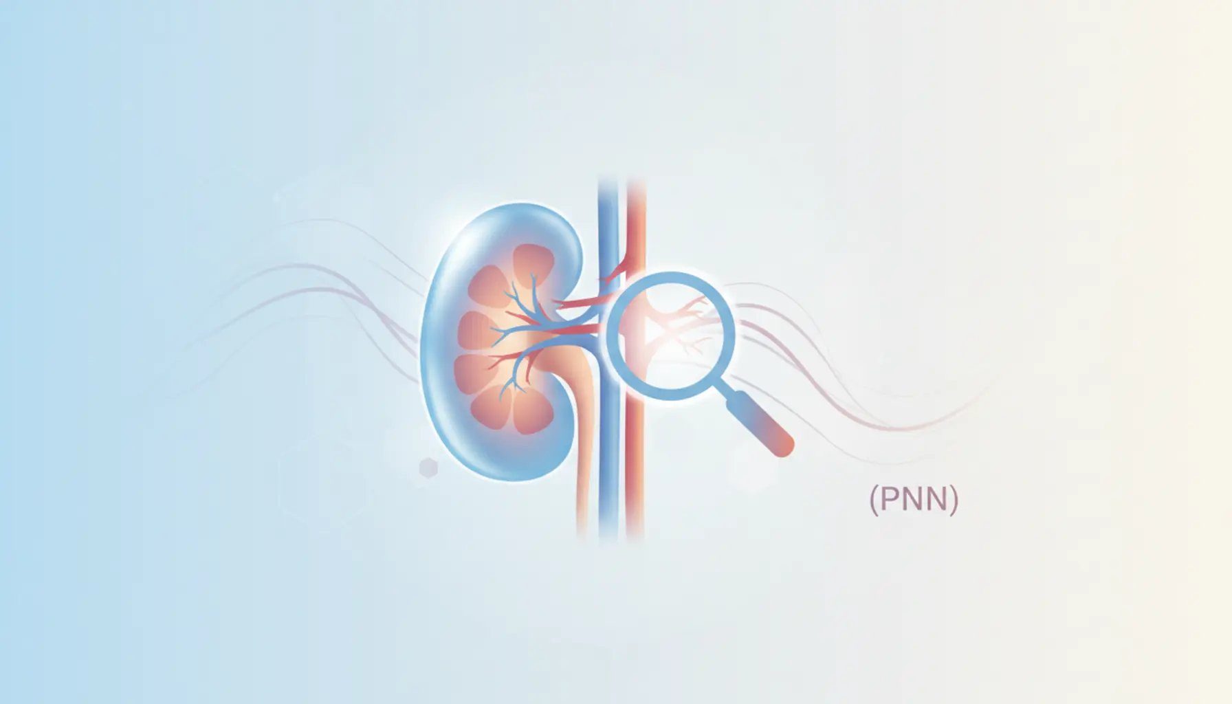 Chronic kidney disease in cats symptoms causes treatment diet